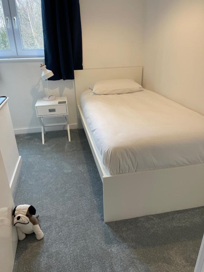 The Beeches - Serviced Duplex Apartment Sheffield Eksteriør billede